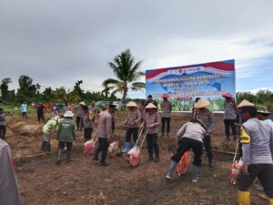 Sinergi Polri dan Petani Makimi: Akselerasi Ketahanan Pangan Melalui Tanam Jagung Serentak Kuartal I