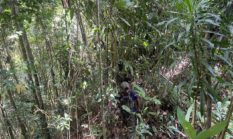 Kontak Tembak di Bukit Signal, Satu Anggota KKB Kodap III Dulla Dilumpuhkan