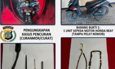 Polres Nabire Ringkus Dalang Utama Sindikat Curas dan Kejahatan 3C