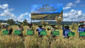 Momen Danyonif 804/DBAY Hadiri Panen Raya Padi di SP 1 Nabire